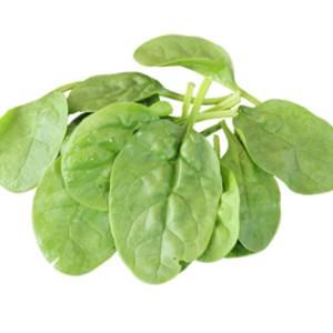 Spinach PNG