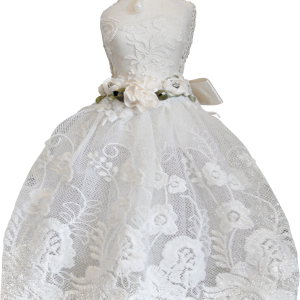 Dress PNG