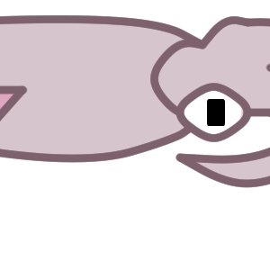 Squid PNG