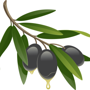 Black olives PNG