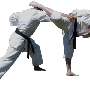 Karate PNG