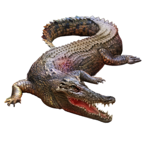 Crocodile PNG