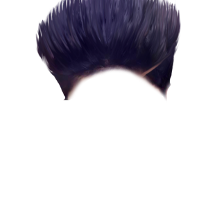 Hair wig PNG
