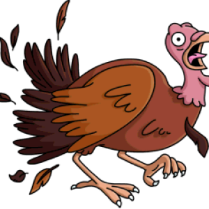 Turkey bird PNG