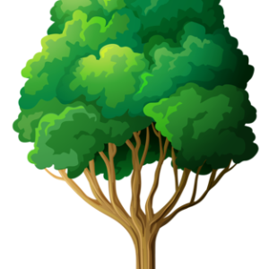tree PNG