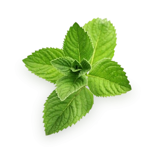 Pepermint PNG