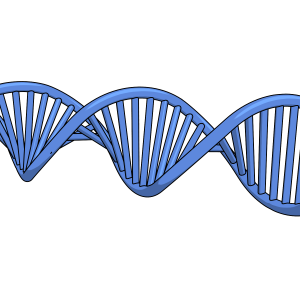 DNA PNG