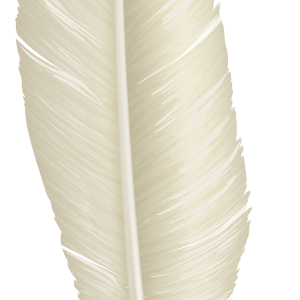 Feather PNG image