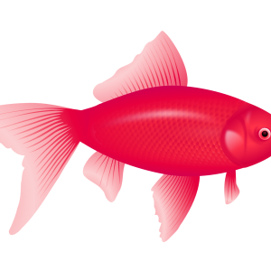 purple fish PNG image