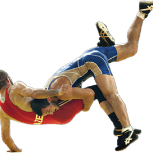 Wrestling PNG