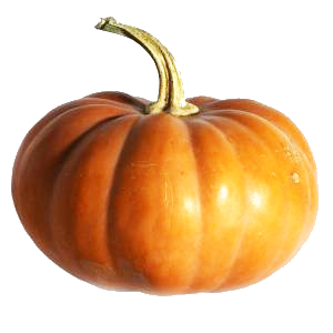 Pumpkin PNG image