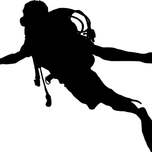 Diver PNG
