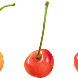 cherry PNG image