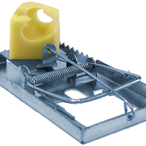 Mouse trap PNG