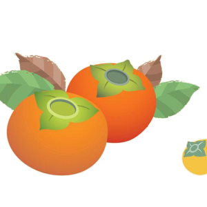 Persimmon PNG