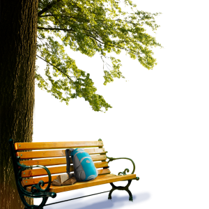 Bench furniture PNG