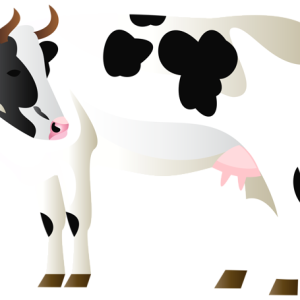 cow PNG