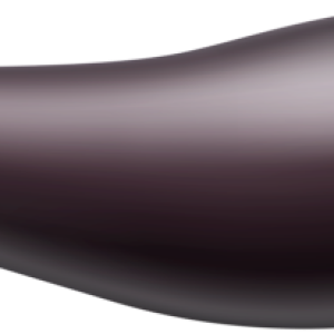 Eggplant PNG