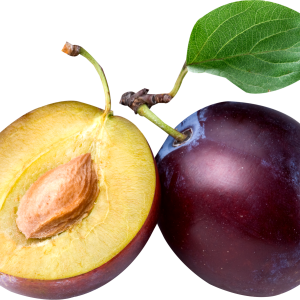 Plum PNG image