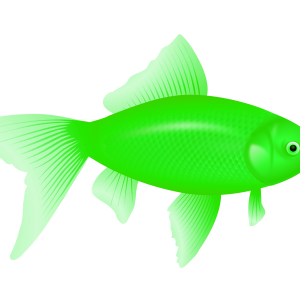 green fish PNG image
