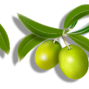Olive PNG