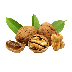 Walnut PNG