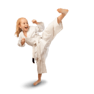 Karate PNG