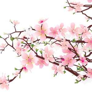 Sakura PNG