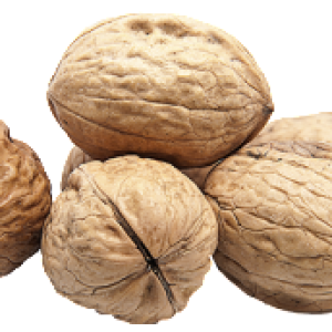 Walnut PNG