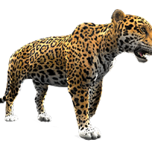 Jaguar PNG