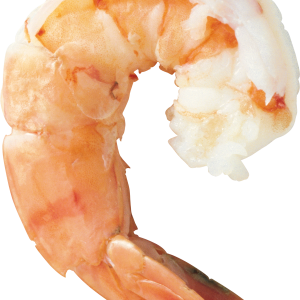 Shrimps PNG
