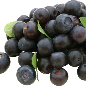 Blueberries PNG