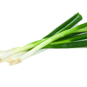 Leek PNG
