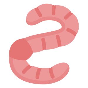 earthworm worm PNG