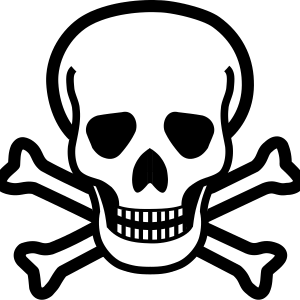 Skull PNG