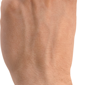 Hands PNG, hand image free