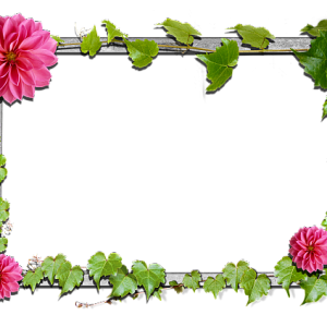 Picture, photo frame PNG