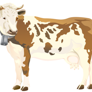 cow PNG
