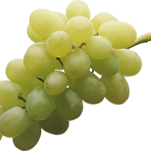 Green grape PNG image