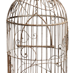 Cage bird PNG