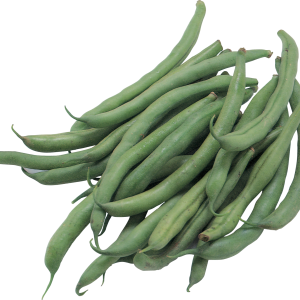 Green bean PNG
