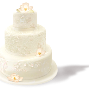 Cake PNG image