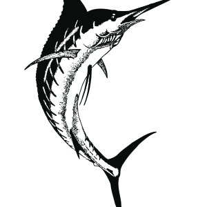 Swordfish PNG