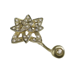 Body piercing PNG