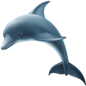 Dolphin PNG