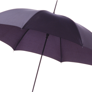 Umbrella PNG