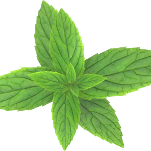 Pepermint PNG