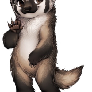 Badger PNG