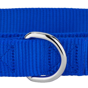 Dog collar PNG