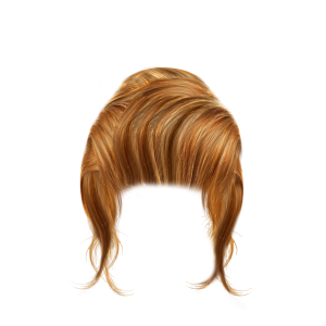 Women hair PNG image